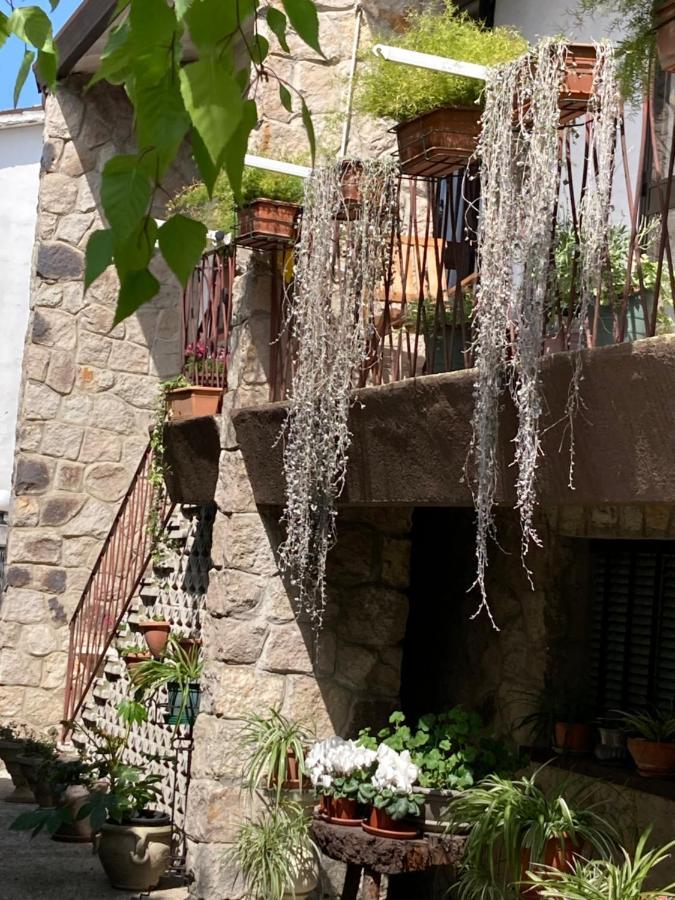 Tencarola B & B Zewnętrze zdjęcie