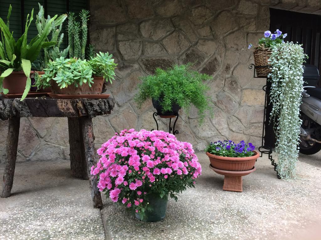 Tencarola B & B Zewnętrze zdjęcie